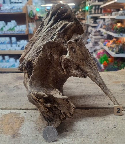 Derwen oak bogwood - derwen,