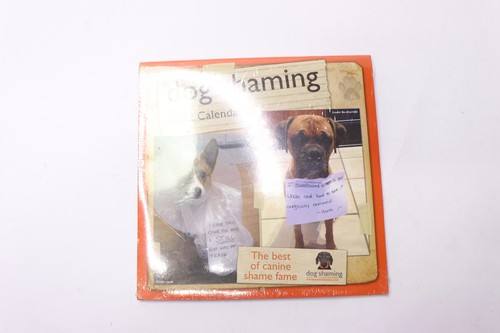 Dog shaming 2022 mini - dog, wall