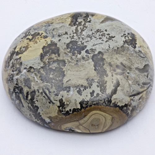 Landscape cotham marble - cotham,