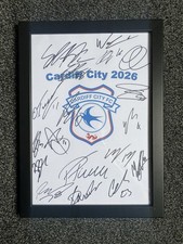 Cardiff City FC Football Club