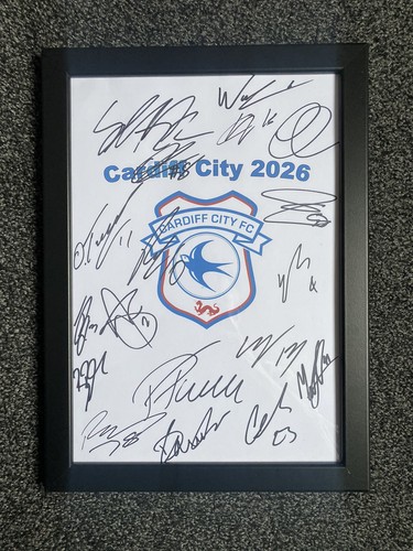 Cardiff city football club - cardiff,