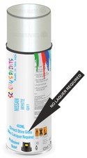 Paint For Nissan Presage White