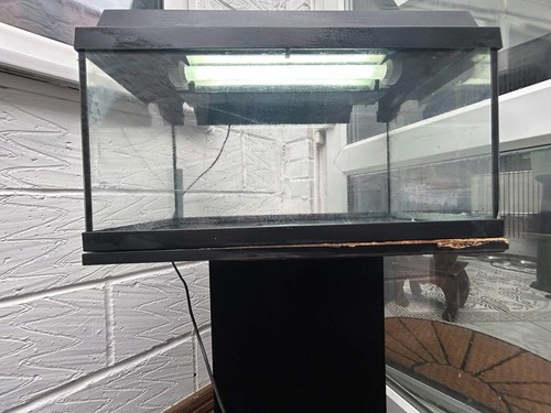 Juwel 60l fish tank - juwel, aquarium