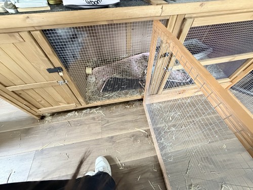 Wooden rabbit hutch with run - wooden,