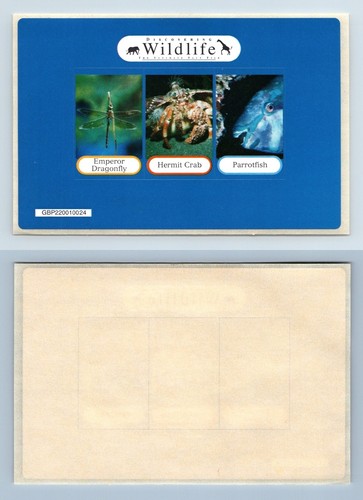 Discovering wildlife the - wildlife,