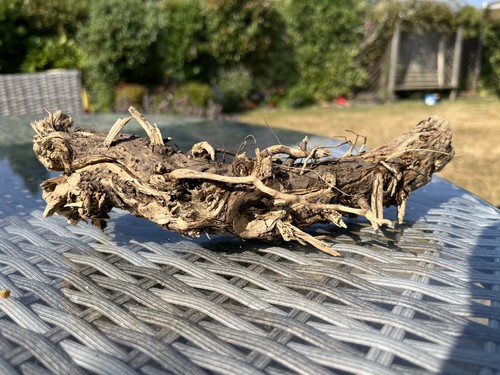 30cm gnarled driftwood - 30cm,