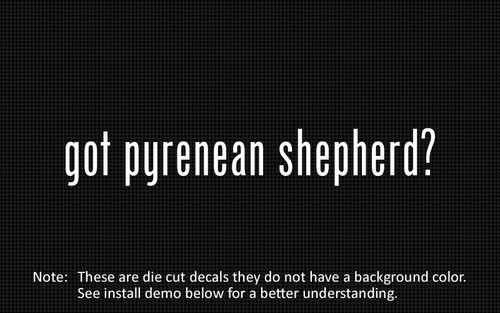 Got pyrenean shepherd - (2x),