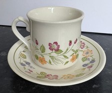 vintage Biltons Woolworths Country Lane cup and saucer brambles 