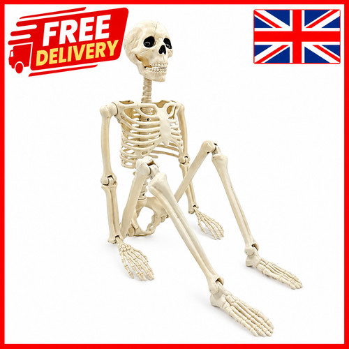 Halloween posable skeleton - posable,