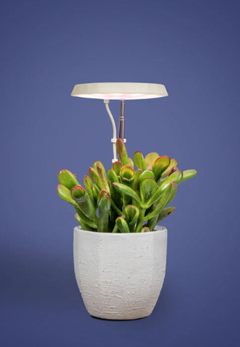 Aerogarden stem grow light - stem,