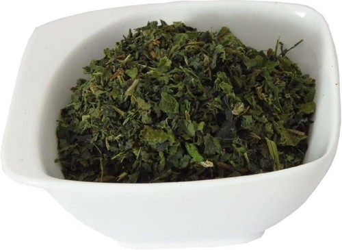 Stinging nettle leaf cut loose - nettle,