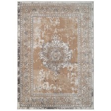 Beige Area Rug Traditional