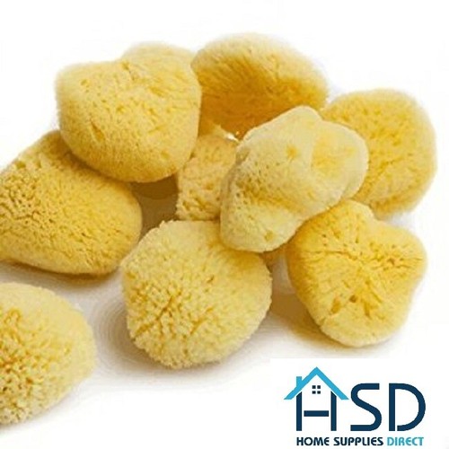 Hsd natural artists - hsd, sea