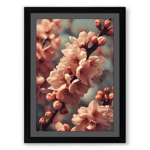 Petals bloom botanical - petals,