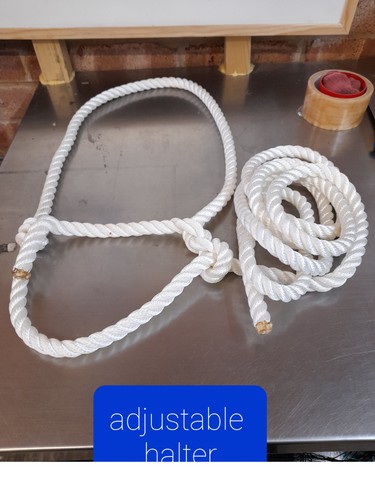 Rope halter white - ,head, collar