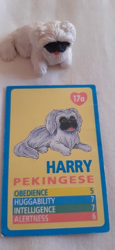 Puppy pocket figure - puppy, my