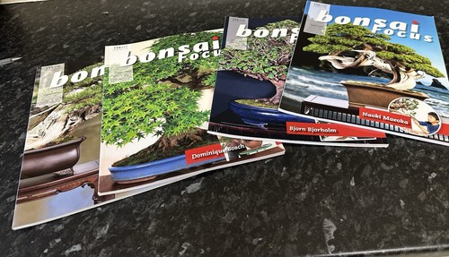Bonsai focus magazine bundle - magazine,