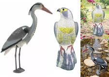 Garden decoy bird deterrent - garden,