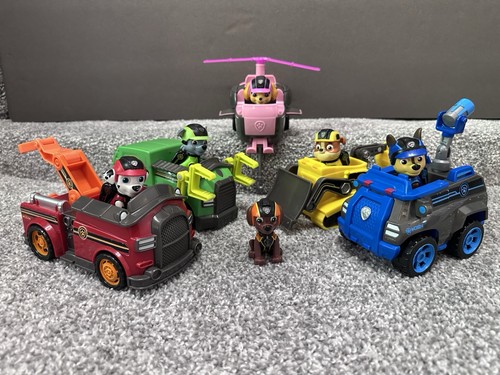 Paw patrol mission - mission, team
