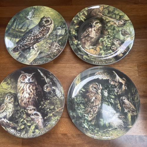 Vintage owl collectors plates - collectors,