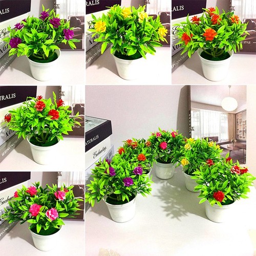 Breathtaking miniature roses - breathtaking,