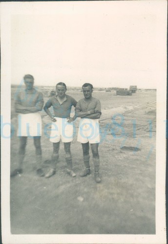 Ww2 1942 egypt raf - egypt, fighter