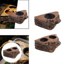 Gecko Feeder Ledge Reptile