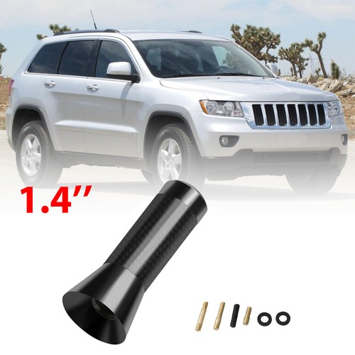 Antenna bee sting - antenna,