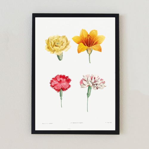 Vintage botanical flowers - vintage,