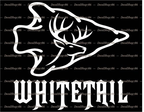 Whitetail arrowhead - whitetail, in