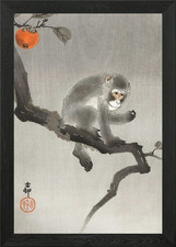 Monkey In Cockatoo 1900 1