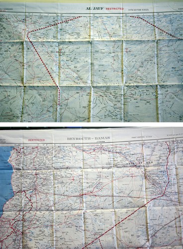 Flight map silk - silk,