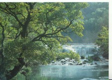Derbyshire Postcard - River Wye - Monsal Dale - Ref 9486A