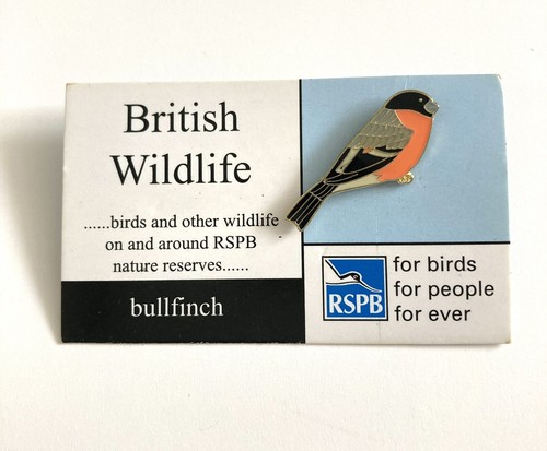 Rspb pin badge - rspb, badge:
