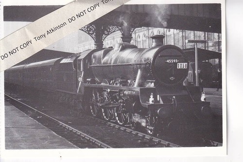 Bradford - bradford, (forster