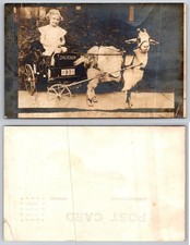 Vintage 1931 Real Photo
