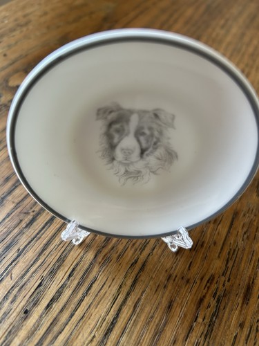 Border collie miniature - border,