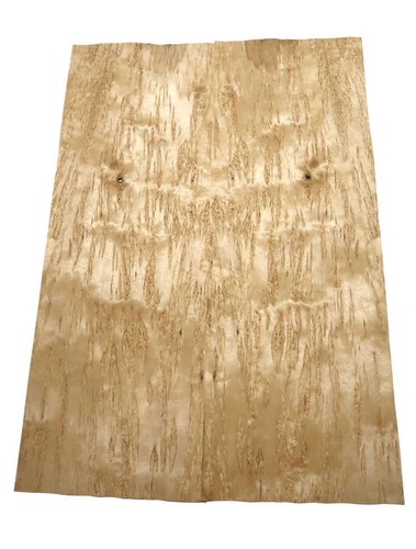 Birch figured wood veneer - birch,