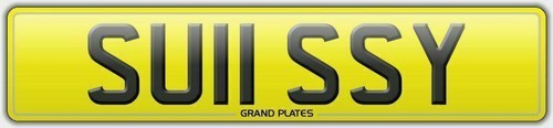 Su11 ssy sue cherished - sue,