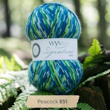 WYS Signature 4 ply Birds