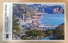 1000 piece jigsaw puzzle -