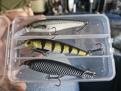 Pike fishing lures - fishing, double