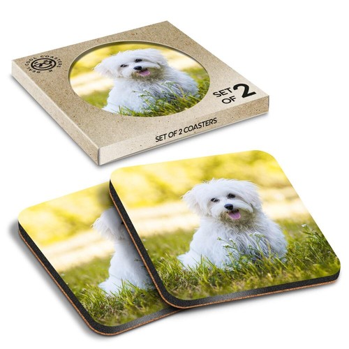Square mdf coaster cute white - square,