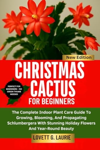 Christmas cactus for beginners - christmas,