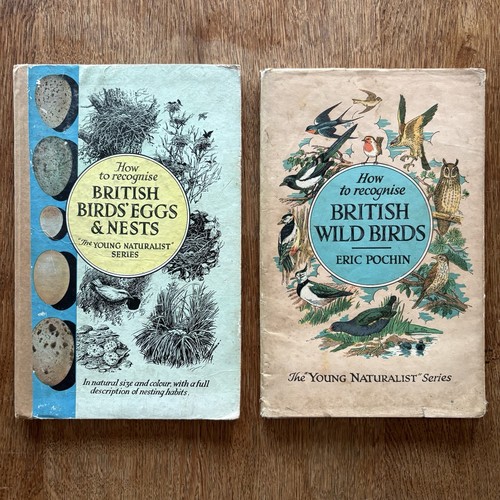 Vintage ornithology young - vintage,