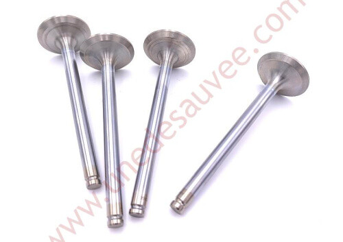 Exhaust valves engine - valves,