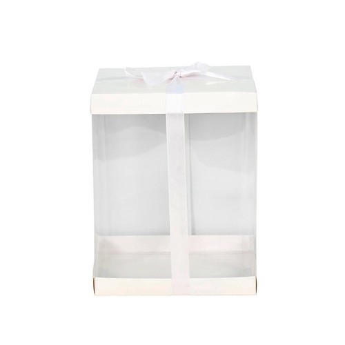 Extra large clear pvc box - extra,