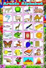 Laminated LEARN ARABIC