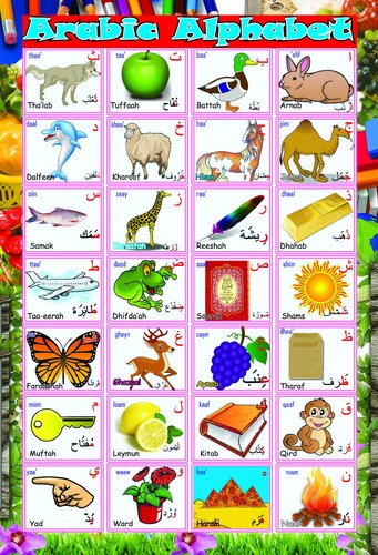 Laminated learn arabic - laminated,