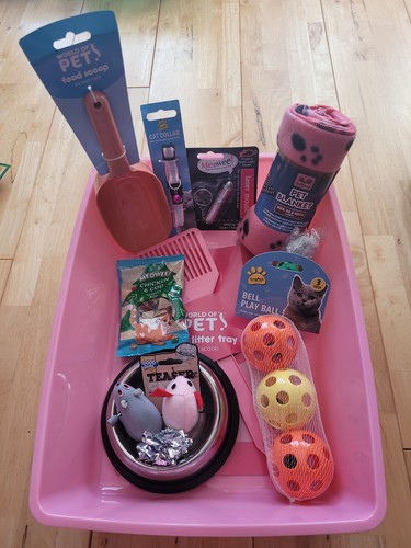 Kitten cat bundle pink - /,